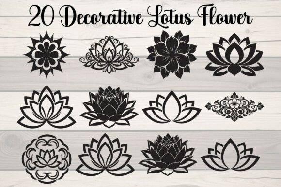Download Decorative Lotus Flower - Flower Collection