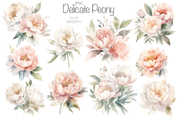 Download Delicate Peone Flowers - Flower Collection